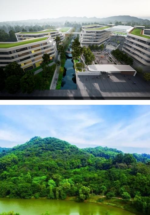 中建海丝城盛大开盘，开启理想生活新篇章